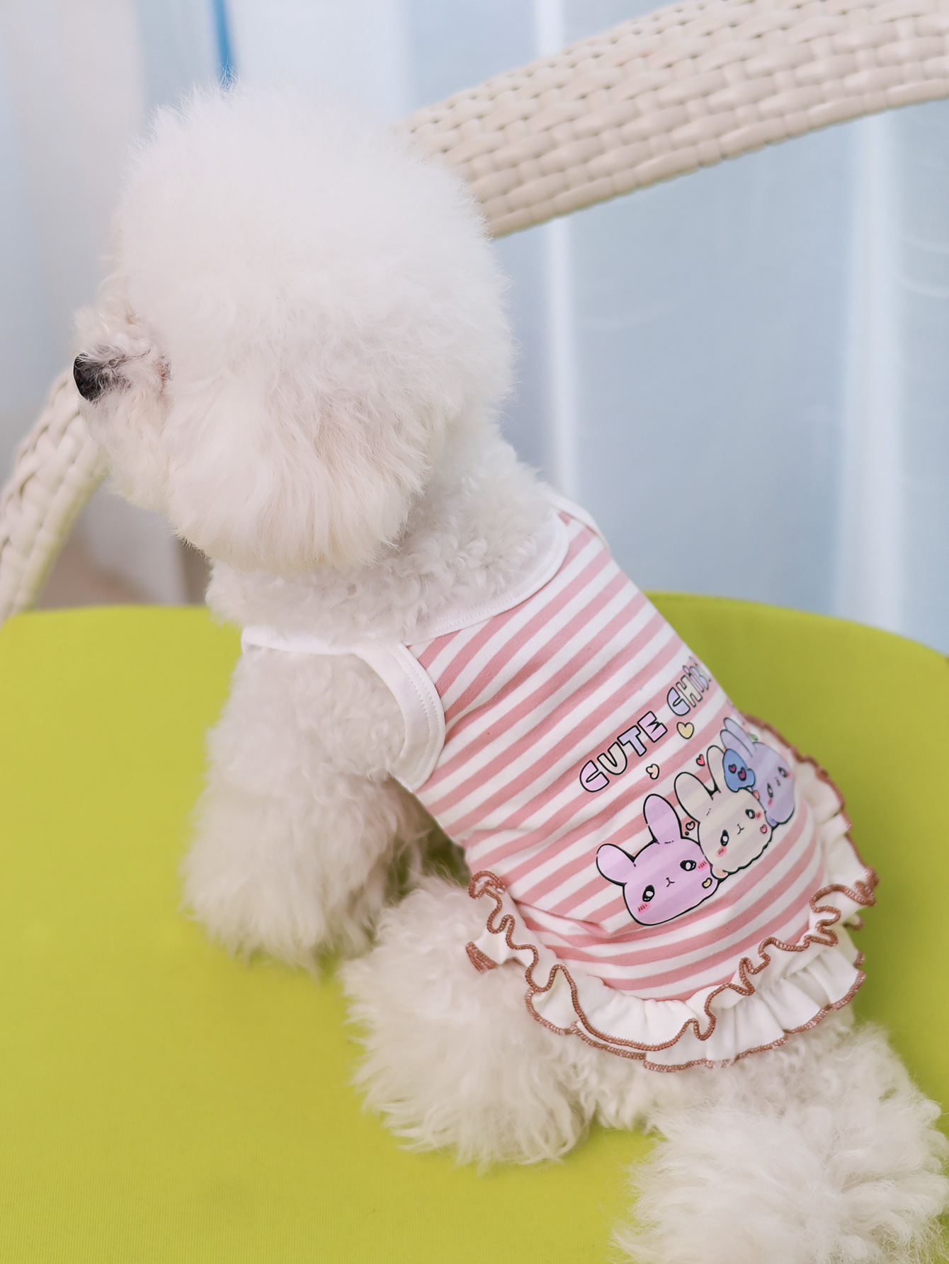 Dog vest, summer breathable th - Summer Clothing Material review and price
